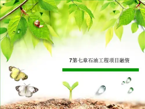 7第七章石油工程项目融资