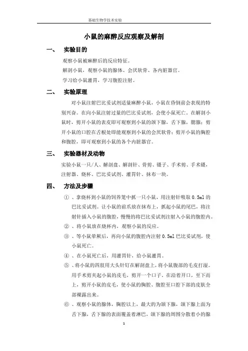 小鼠的麻醉反应观察及解剖