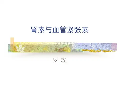 肾素与血管紧张素