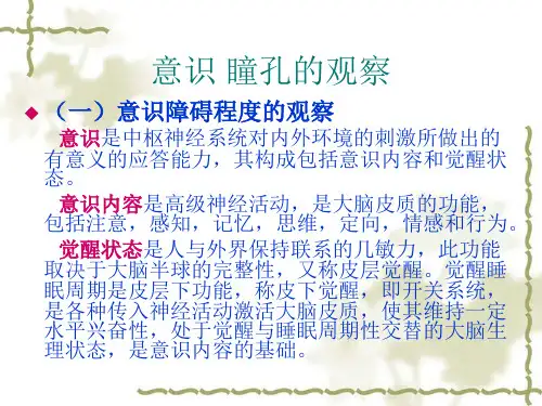 瞳孔意识