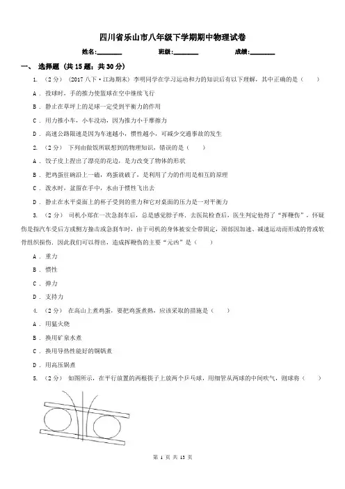 四川省乐山市八年级下学期期中物理试卷 