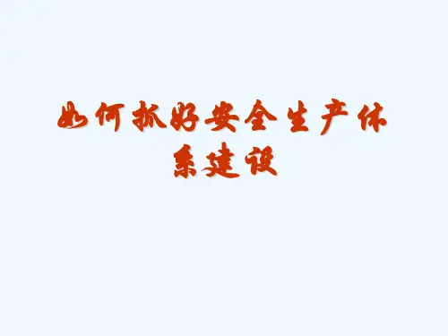 安全生产体系建设推行课件