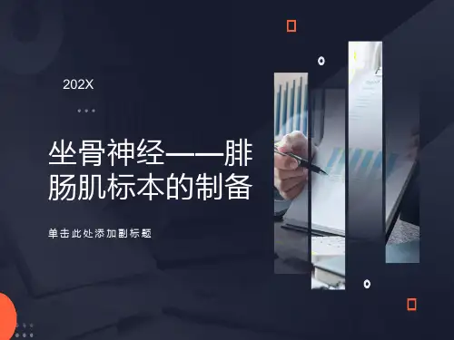 坐骨神经-腓肠肌标本的制备