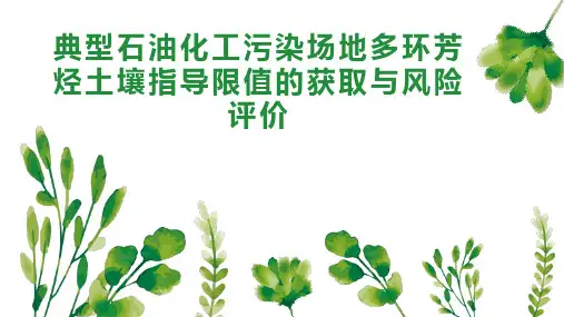 典型石油化工污染场地多环芳烃土壤指导限值的获取与风险评价