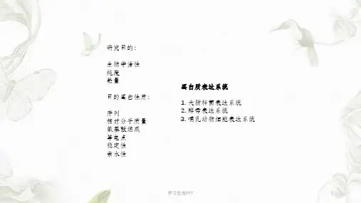 蛋白表达纯化课件