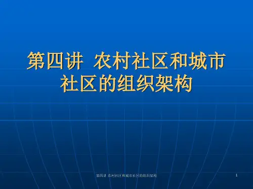 第四讲 农村社区和城市社区的组织架构 ppt课件
