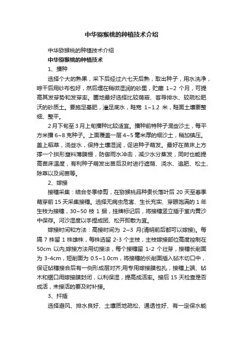 中华猕猴桃的种植技术介绍