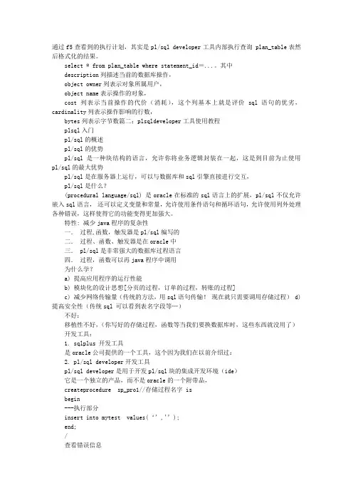 PLSQL怎么执行SQL语句