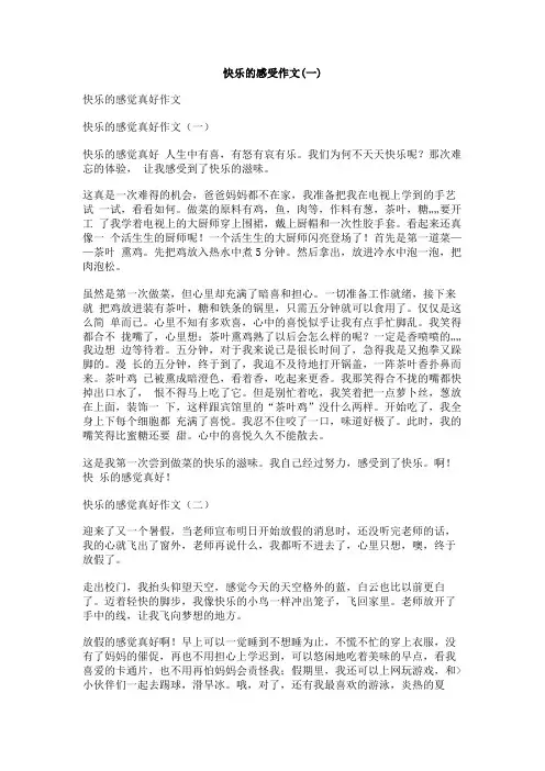 快乐的感受作文
