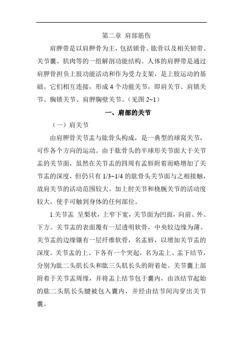 中医筋伤学第二章 肩部筋伤