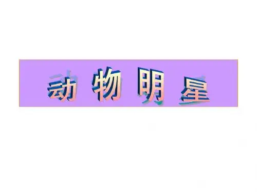 动物明星ppt教案课件.ppt