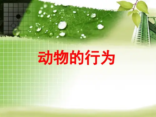 《动物行为学》PPT课件