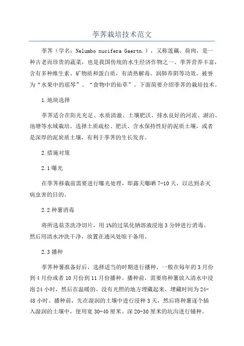 荸荠栽培技术范文
