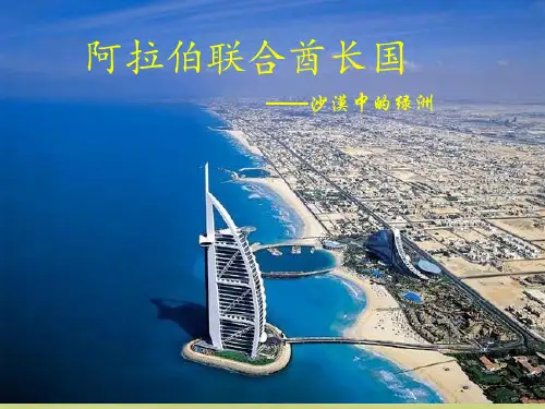 阿联酋