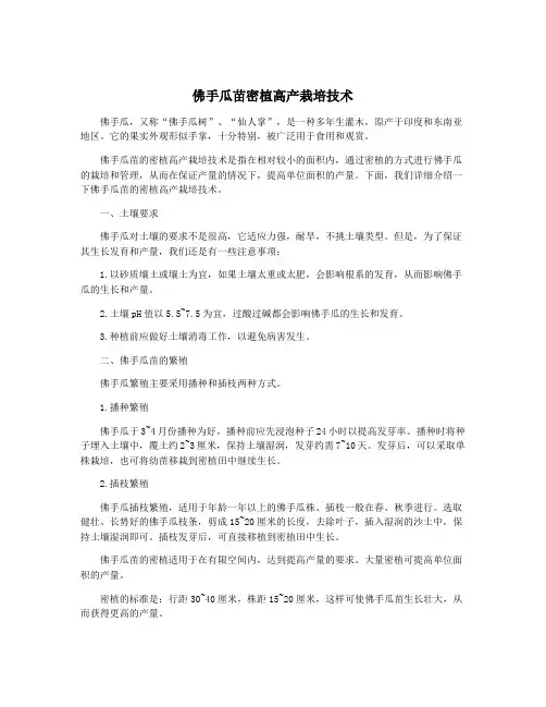 佛手瓜苗密植高产栽培技术