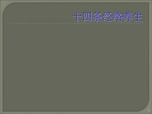 人体十二条经络ppt课件