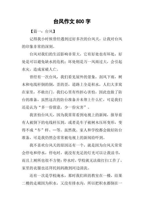 台风作文800字