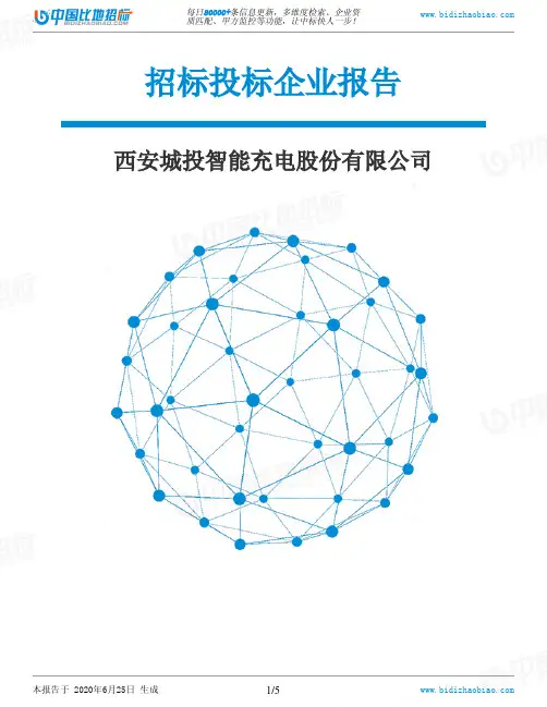 西安城投智能充电股份有限公司-招投标数据分析报告