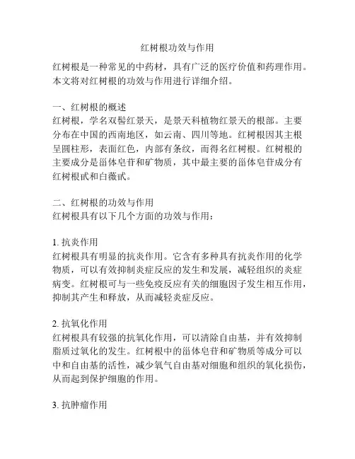 红树根功效与作用