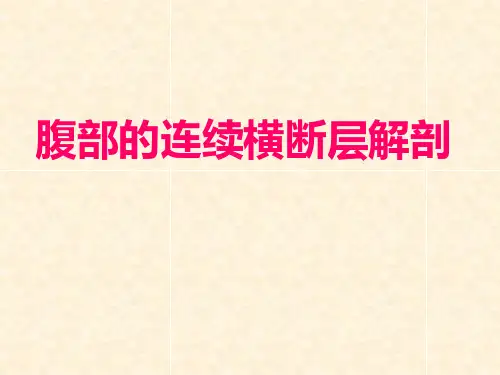 华西07腹部连续横断层解剖