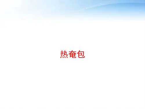 热奄包 ppt课件