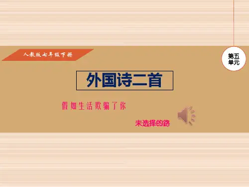 《外国诗二首》语文教学PPT课件(3篇)