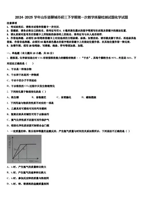 2024-2025学年山东省聊城市初三下学期第一次教学质量检测试题化学试题含解析