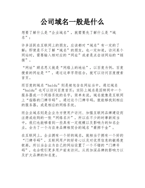 公司域名一般是什么
