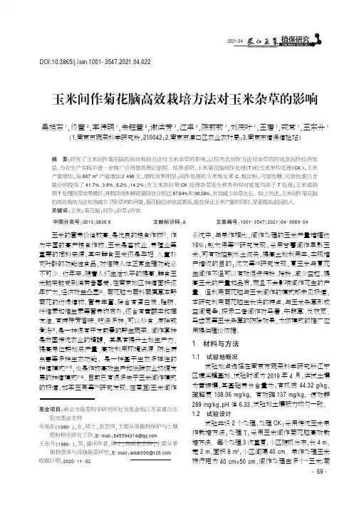 玉米间作菊花脑高效栽培方法对玉米杂草的影响