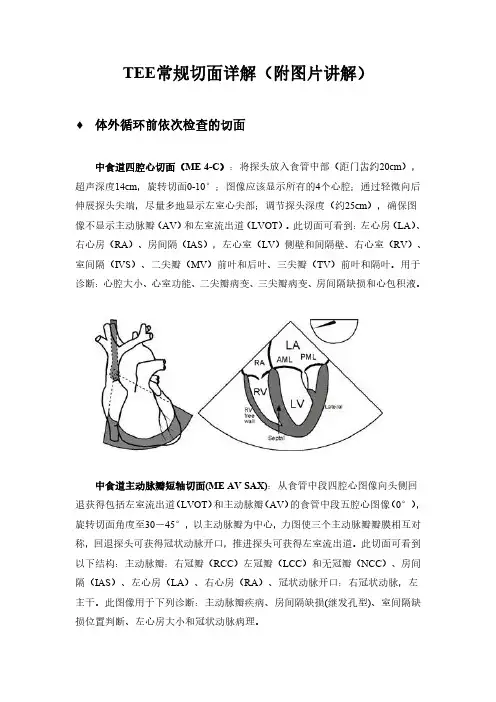 TEE常规切面详解(附图片讲解)
