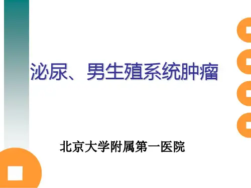 《泌尿系肿瘤》PPT课件