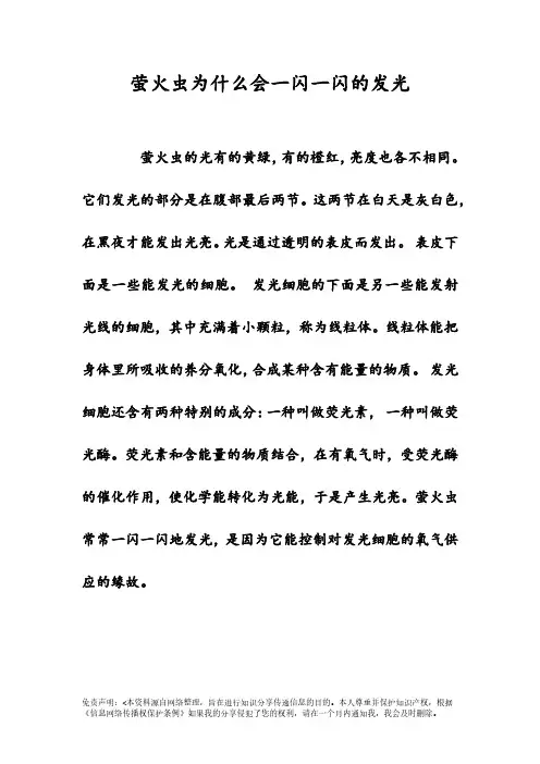 萤火虫为什么会一闪一闪的发光