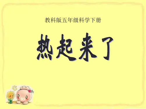 《热起来了》教科版五年级科学下册PPT课件(5篇)