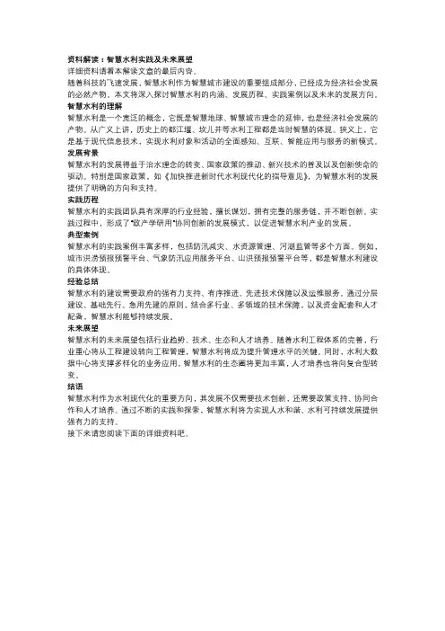智慧水利实践及未来展望