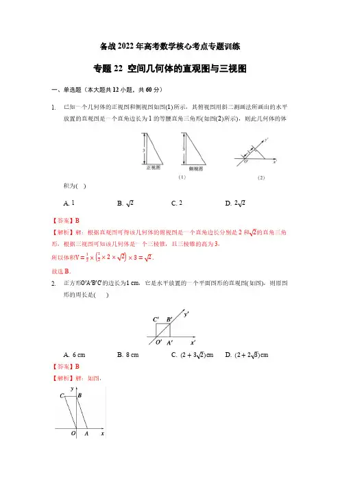 专题28 空间几何体的直观图与三视图- (解析版)