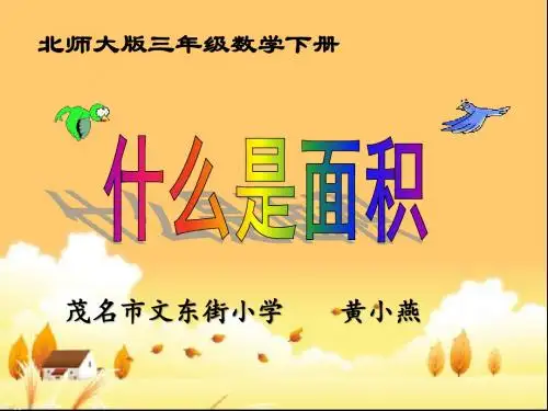 《什么是面积》课件