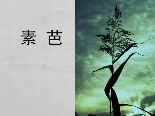 选修 外国小说欣赏《素芭》课件(35张PPT)语文精品公开课课件