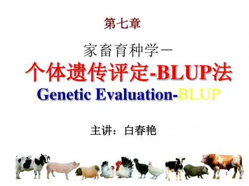07第七章BLUP