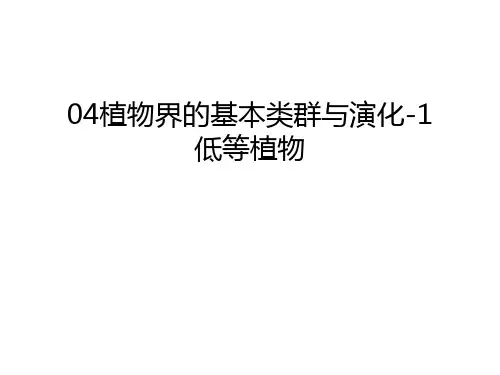 最新04植物界的基本类群与演化-1低等植物