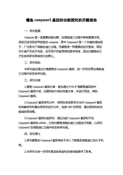 鳜鱼caspase3基因的功能探究的开题报告