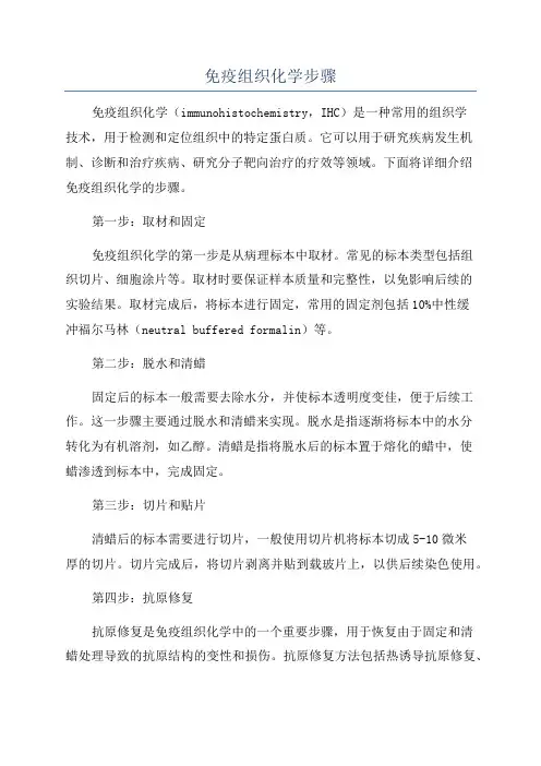 免疫组织化学步骤