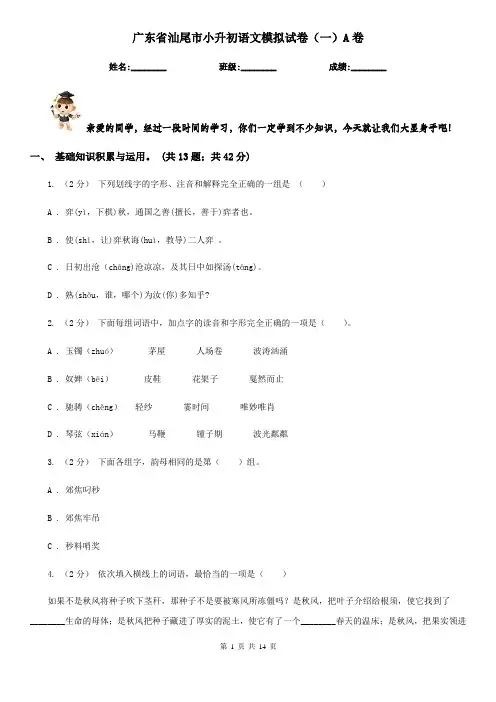 广东省汕尾市小升初语文模拟试卷(一)A卷