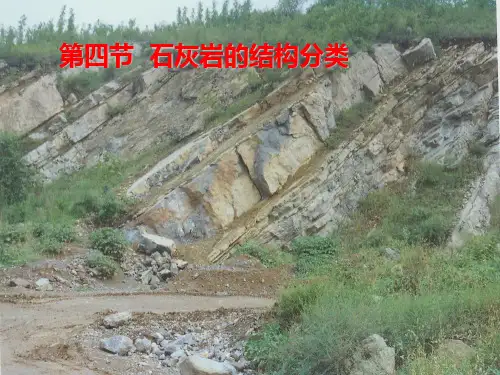 沉积学与沉积相课件碳酸盐岩各论