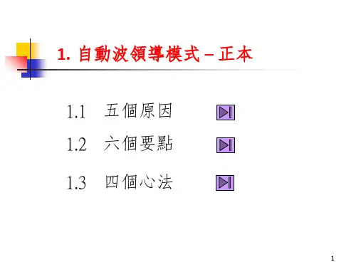 自动波领导模式-正本