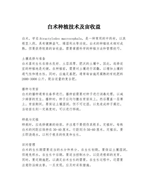 白术种植技术及亩收益