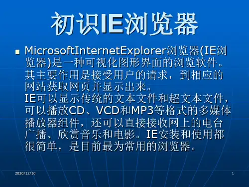 IE浏览器的基本操作(205716)PPT教学课件