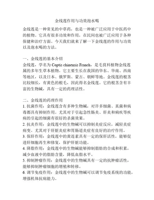 金线莲作用与功效泡水喝