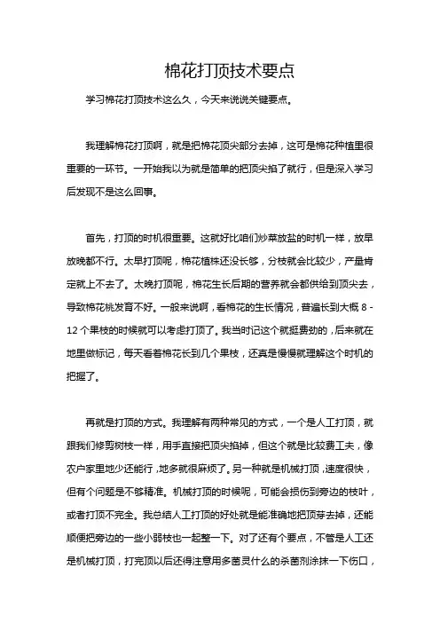 棉花打顶技术要点