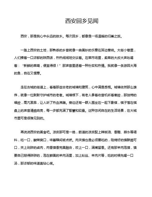 西安回乡见闻