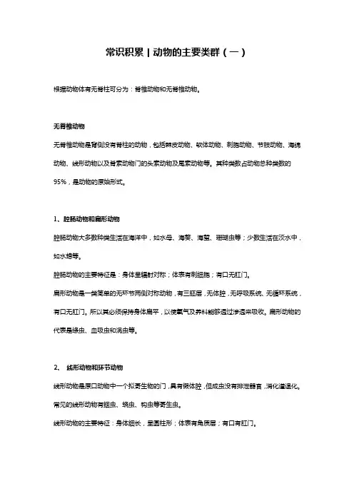 常识积累丨动物的主要类群